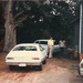 Roger Peterson Photo 50