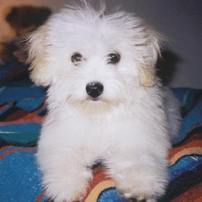 Wanda Day Photo 40