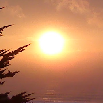 Teresa Huddleston Photo 25