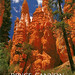 Randall Spires Photo 6