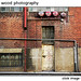 Adam Woods Photo 16