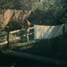 Toni Long Photo 17