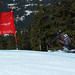 Dawn Steiner Photo 21