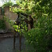 Deborah Kemper Photo 12