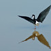 Don Ulrich Photo 23