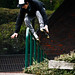 Joe Atkinson Photo 8