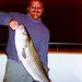 Eric Schultz Photo 19