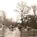Rory Watkins Photo 8