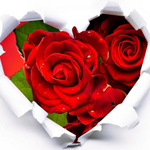 Rajeev Prabhakar Photo 16
