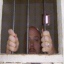 Michael Symons Photo 8