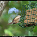 Carol Haggerty Photo 20