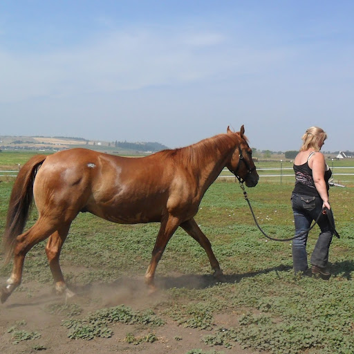 Traci Bisson Photo 11