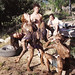 Rebecca Rockwell Photo 27