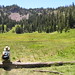 Catherine Meadows Photo 8