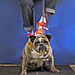 Sherry Harley Photo 15