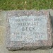 Sue Beck Photo 8