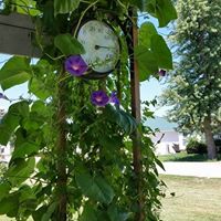 Carolyn Mohr Photo 21