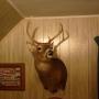 Jeff Grove Photo 32
