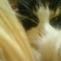 Rosie Young Photo 19