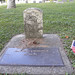 David Cummings Photo 37