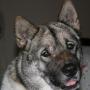 Janet Schmitt Photo 4
