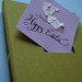 Steve Card Photo 33