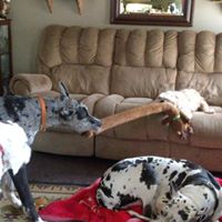 Susan Coble Photo 15