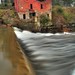 Lori Mills Photo 12