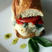 Virtus Cook Photo 2
