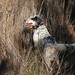 Graham Hunt Photo 9