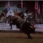 David Roush Photo 15