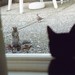 Henry Dove Photo 26