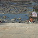 Steve Selbst Photo 6