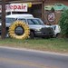 Lisa Purvis Photo 13