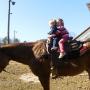 Shelley Hill Photo 8