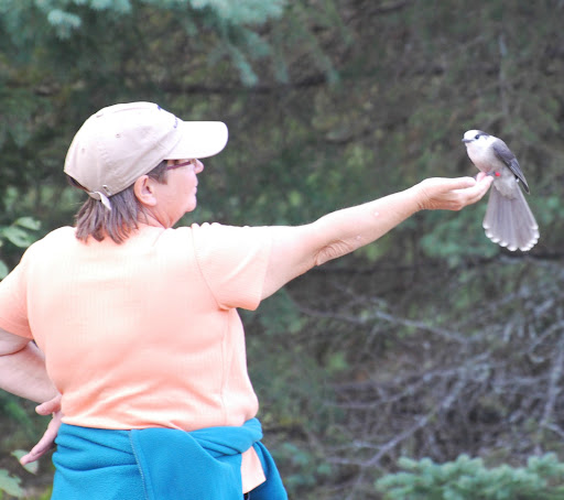 Janette Davidson Photo 18