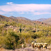 John Trail Photo 11