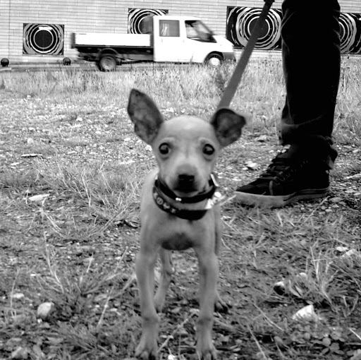 Eddie Cooper Photo 37