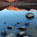Robert Bracken Photo 19