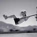 Tracey Bee Photo 5