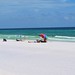 Allen Beach Photo 18