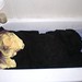 Debra Dye Photo 7