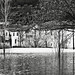 Teresa Flood Photo 14