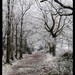 Jonathon Woods Photo 6