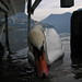 Gordon Swan Photo 10