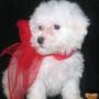 Cyndi Mitchell Photo 22