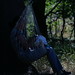 Kimberly Huntington Photo 13