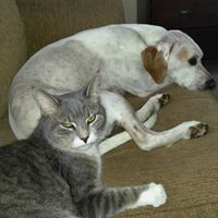 Cheryl Hinson Photo 10