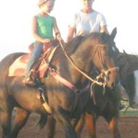 Sue Crain Photo 27