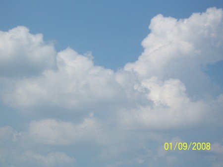 Shannon Watkins Photo 22